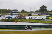 Advanced Group Silver_Grey Bikes